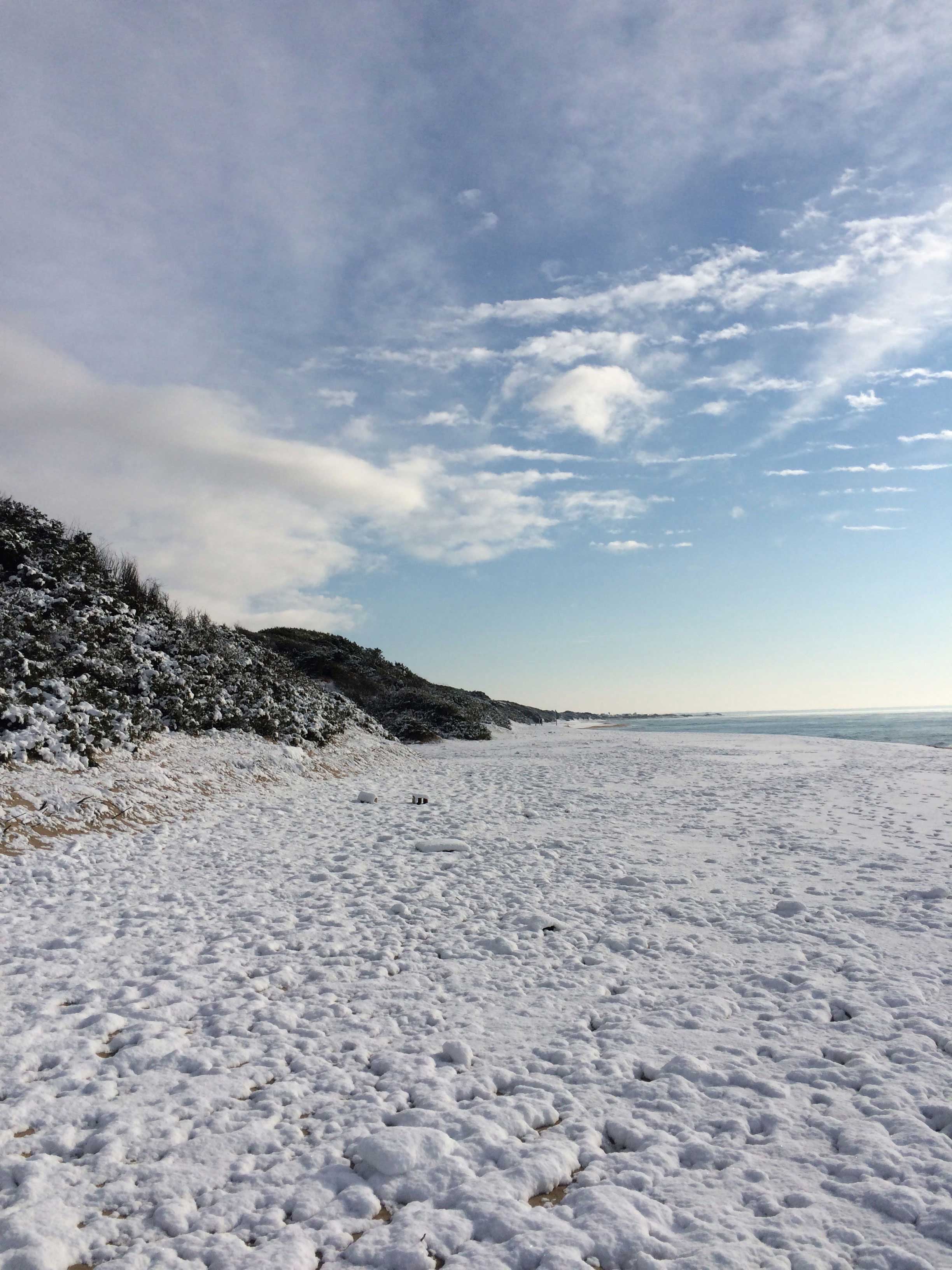 Spiaggia coperta di neve